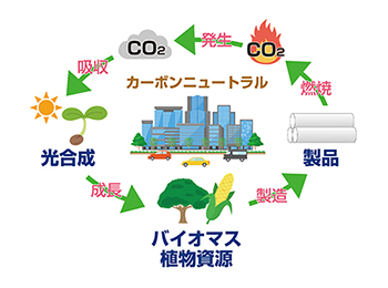 バイオマス植物資源の図解