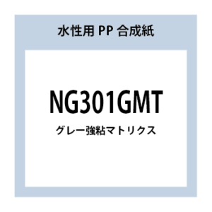 NG301GMT