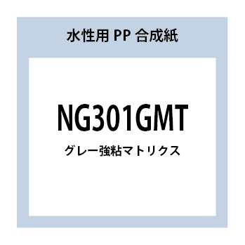 NG301GMT