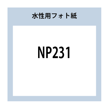 NP231