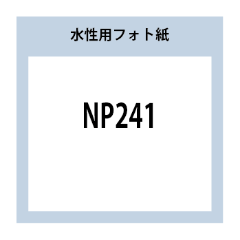 NP241