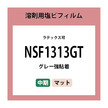 NSF1313GT