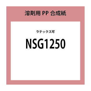 NSG1250