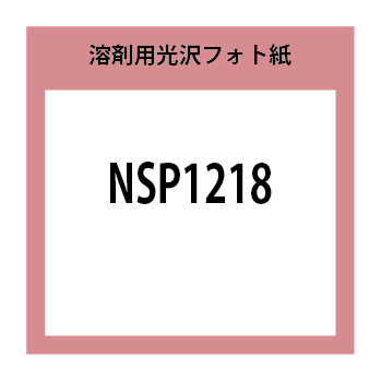 NSP1218