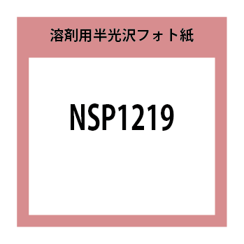 NSP1219