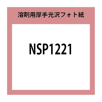 NSP1221