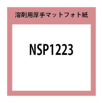 NSP1223