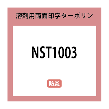 NST1003