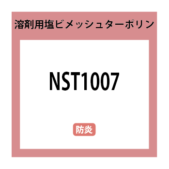 NST1007