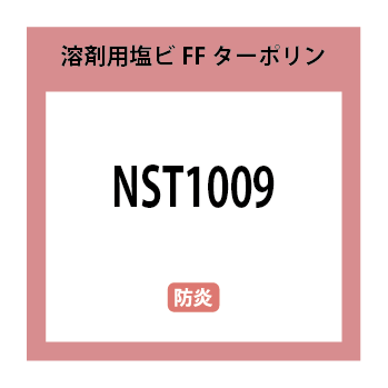 NST1009