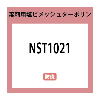 NST1021