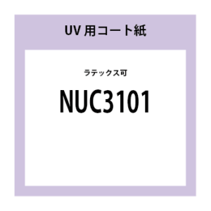 NUC3101