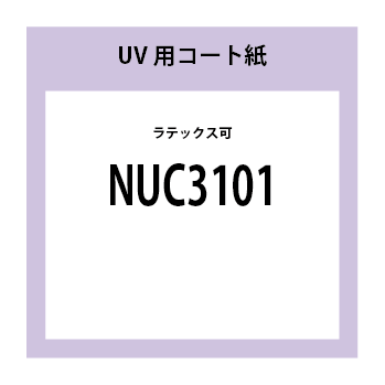 NUC3101